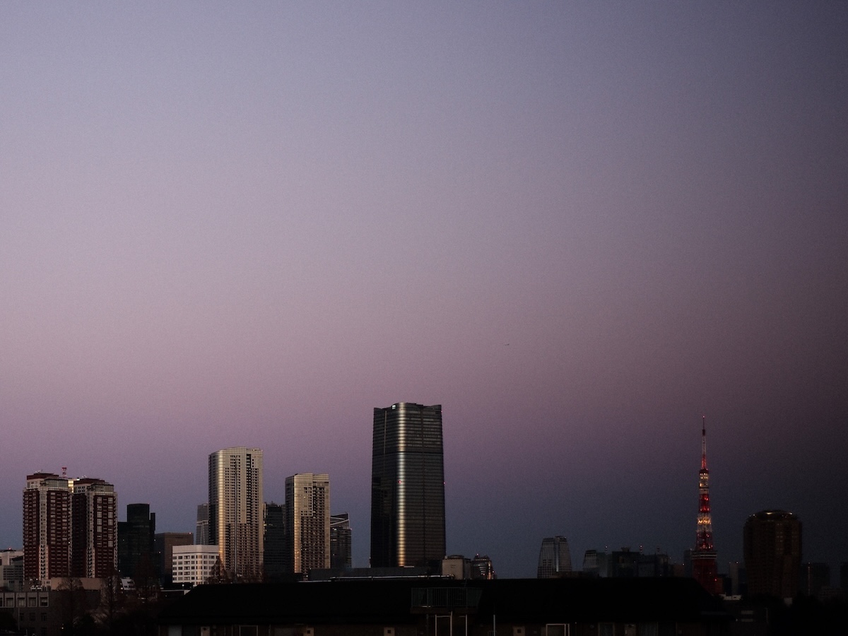 ヴィーナスベルト